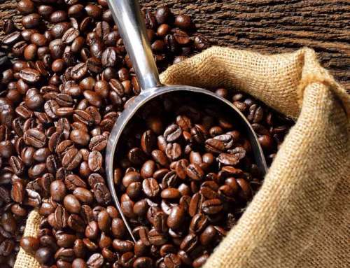 Jamaican Blue Mountain Coffee: A Treasure from the Caribbean