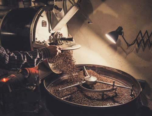 How to Brew Jamaica Blue Mountain Coffee: The Ultimate Guide