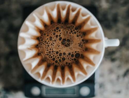 How to Brew Jamaica Blue Mountain Coffee: The Ultimate Guide