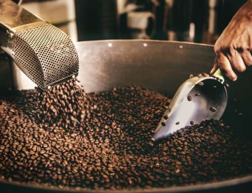 How to Brew Jamaica Blue Mountain Coffee: The Ultimate Guide